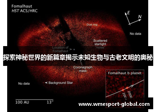 探索神秘世界的新篇章揭示未知生物与古老文明的奥秘