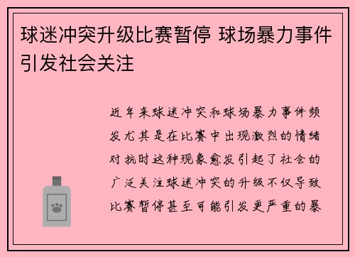 球迷冲突升级比赛暂停 球场暴力事件引发社会关注