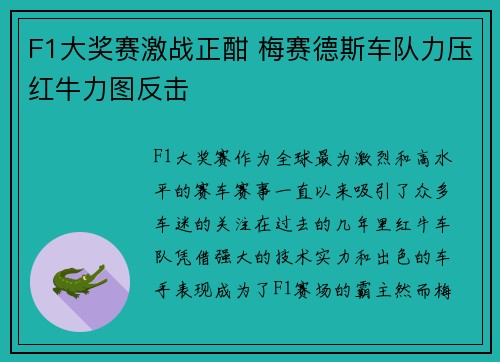 F1大奖赛激战正酣 梅赛德斯车队力压红牛力图反击